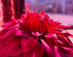 اختبار الراديو بواسطة شيلبا ال